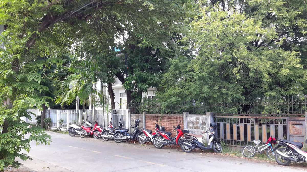 Motorbikes left unattended on a roadside in Chiang Mai, Thailand, amidst lush green trees and residential fencing.