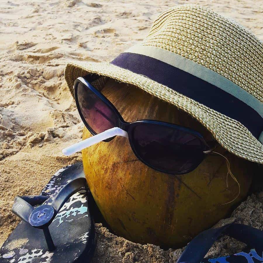 Coconut on Jimbaran Beach Best Bali Beach - Jimbaran Beach