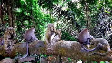 Sacred Monkey Forest and Goa Gajah – Ubud, Bali