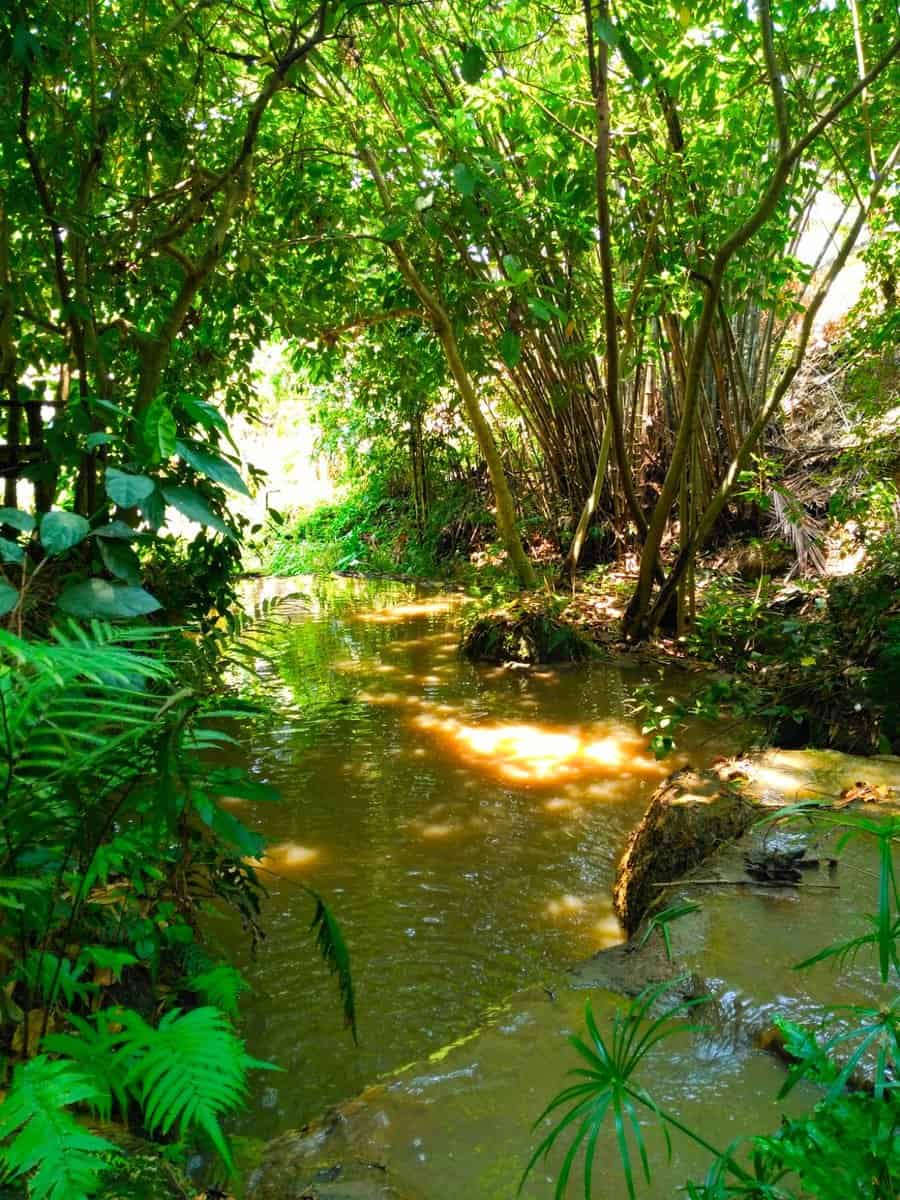 Creek at Rabaeng Pasak Treehouse Resort
