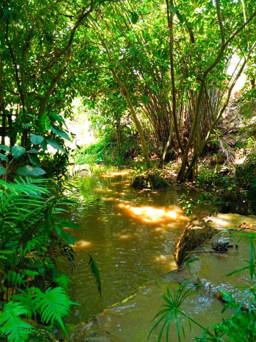 Creek at Rabaeng Pasak Treehouse Resort Creek at Rabaeng Pasak Treehouse Resort