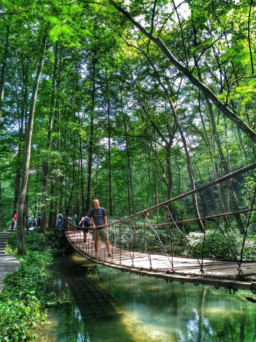 Zhangjiajie National Forest