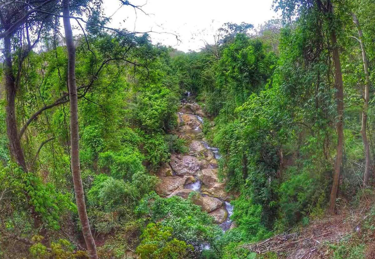 Mae Sa Waterfall - attractions in Chiang Mai for visiting