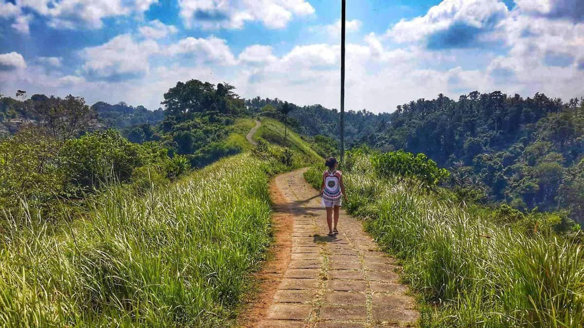 Campuhan Ridge Walk - Bali, Indonesia Things To Do