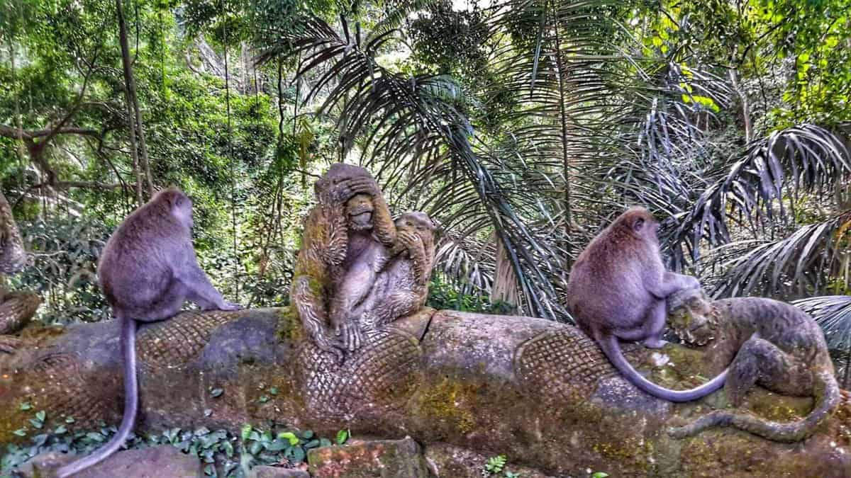 Sacred Monkey Forest - Ubud, Bali, Indonesia
