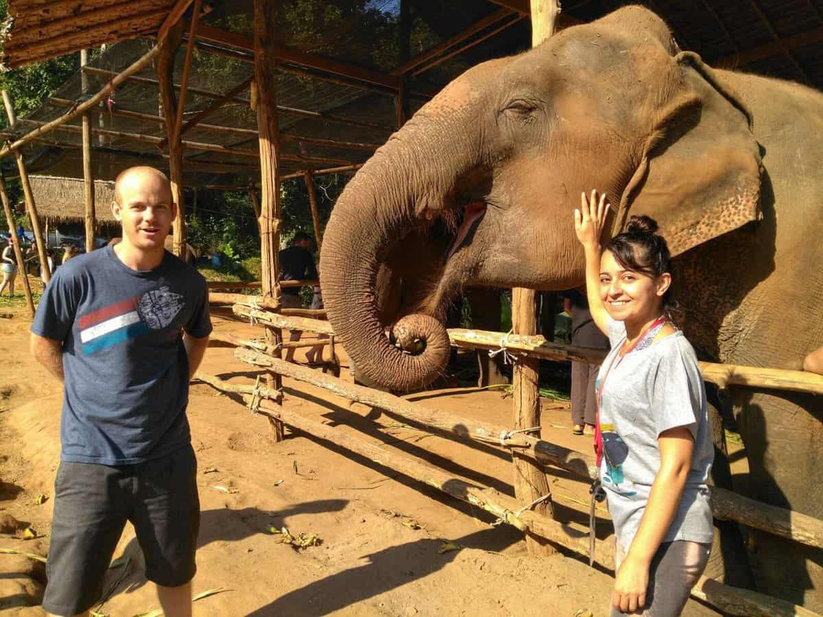 elephant tour, no riding - Chiang Mai, Thailand