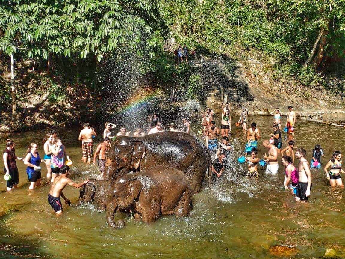 Elephant Sanctuary Chiang Mai, Thailand - shower in the river