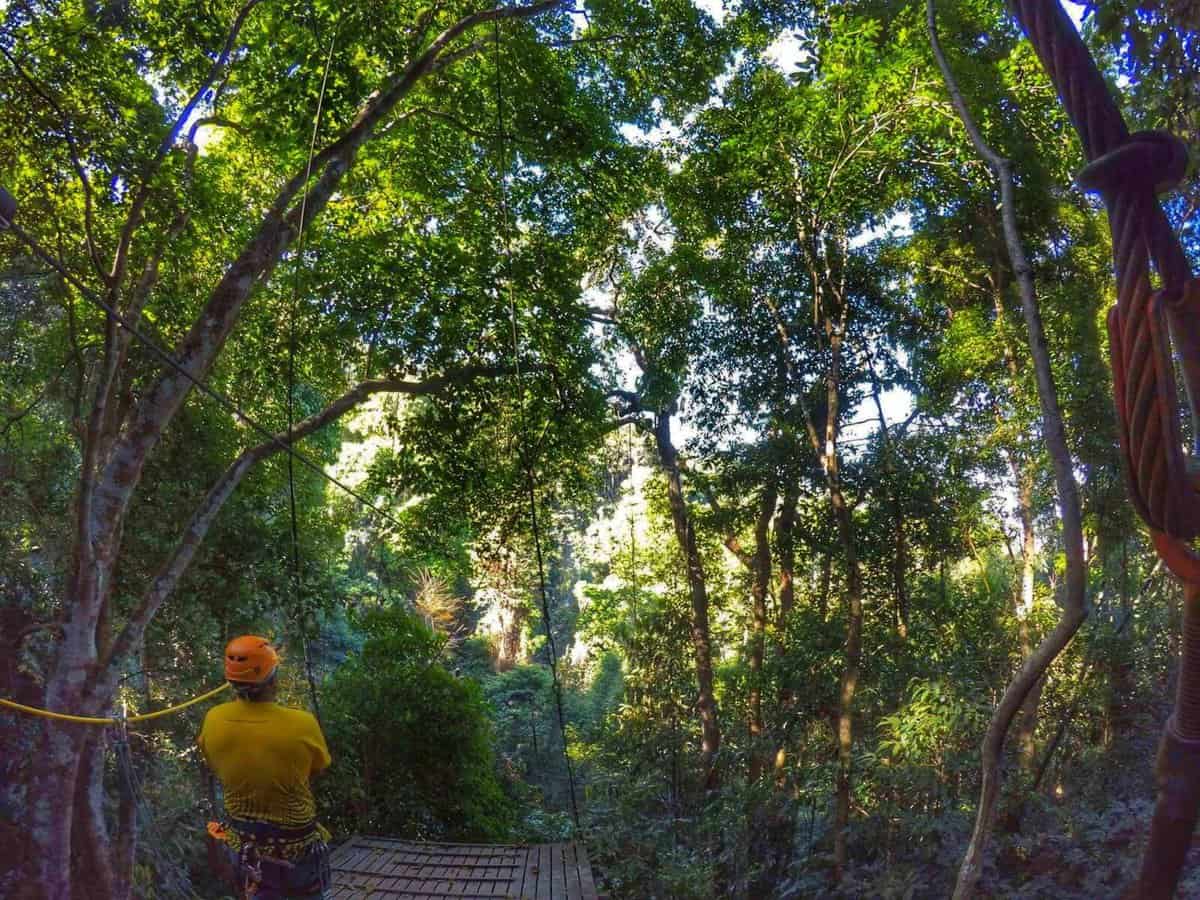 Chiang Mai zipline jungle canopy