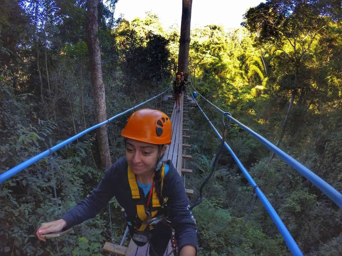 canopy bridge - Flight Of The Gibbon Chiang Mai