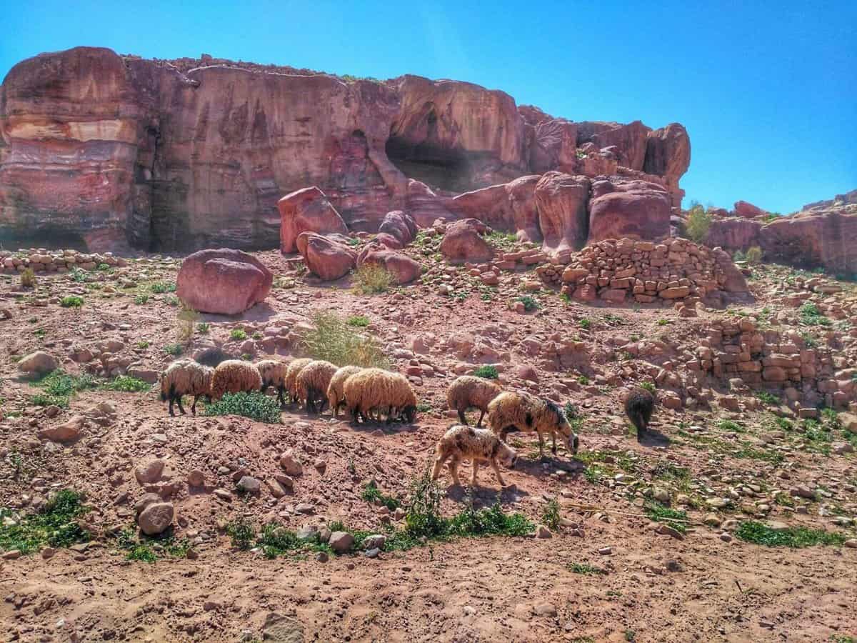 travel to Jordan safe - Petra