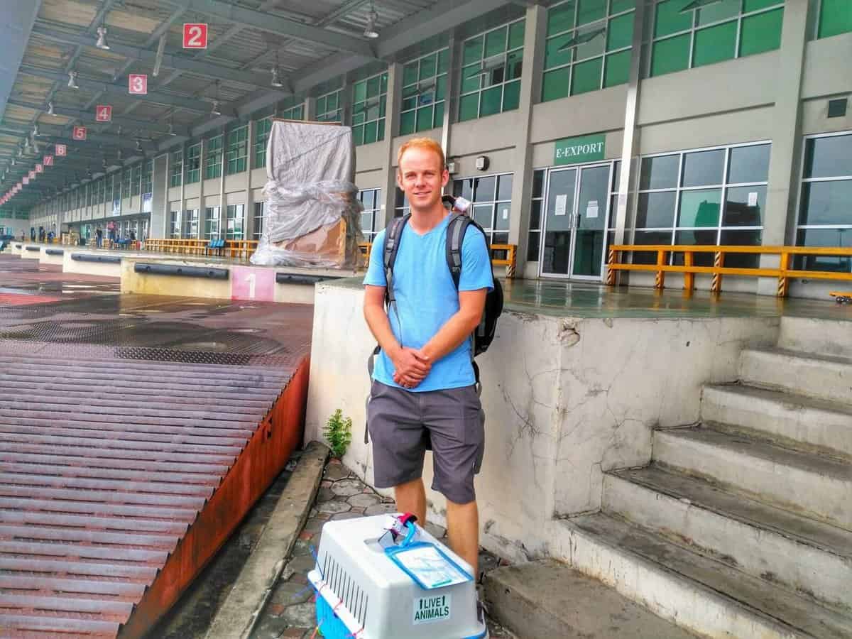 cat from Thailand to US cat from Thailand to US