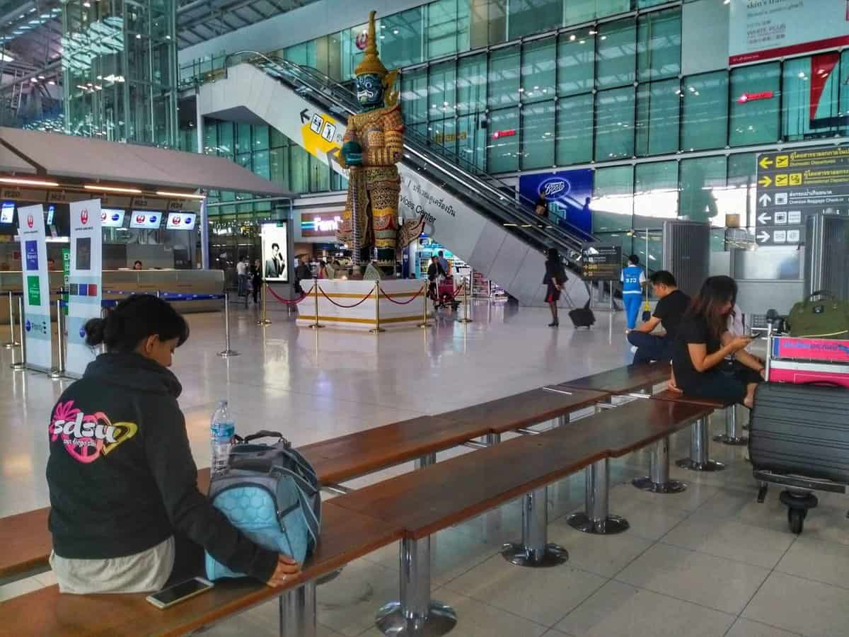 21585459_10154728302745966_1561027561_o.jpg bringing cat from Thailand to USA