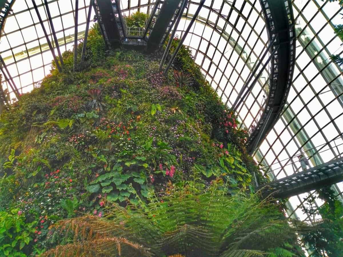 Singapore must see - Cloud Forest Conservatory
