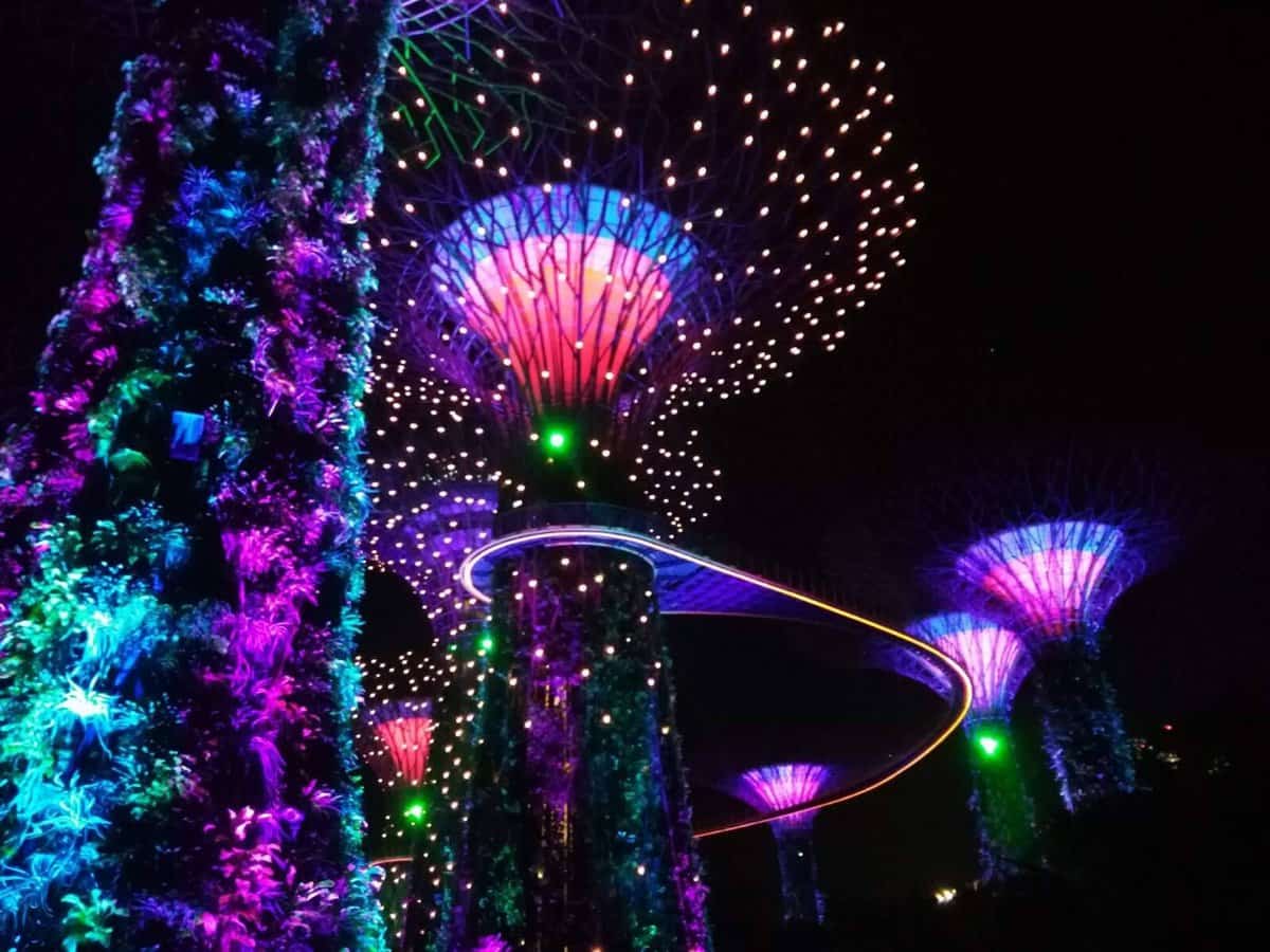 Singapore must see and do - Garden Rhapsody Light and Sound Show