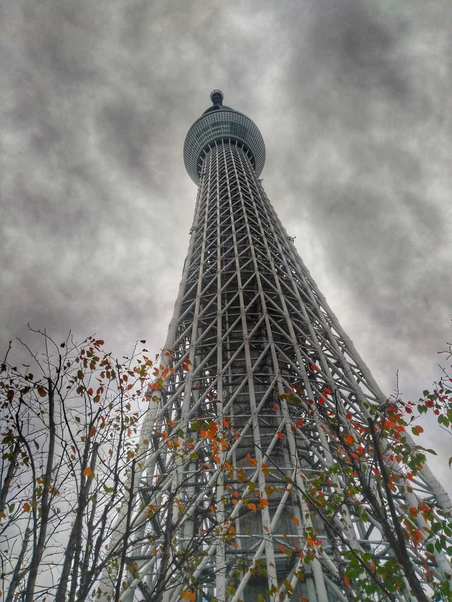 which cities to visit in Japan - Tokyo