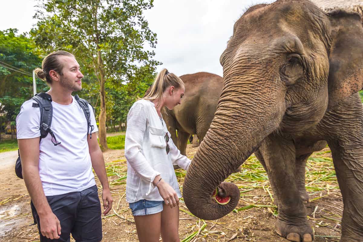 day trips from Chiang Mai -elephant nature park