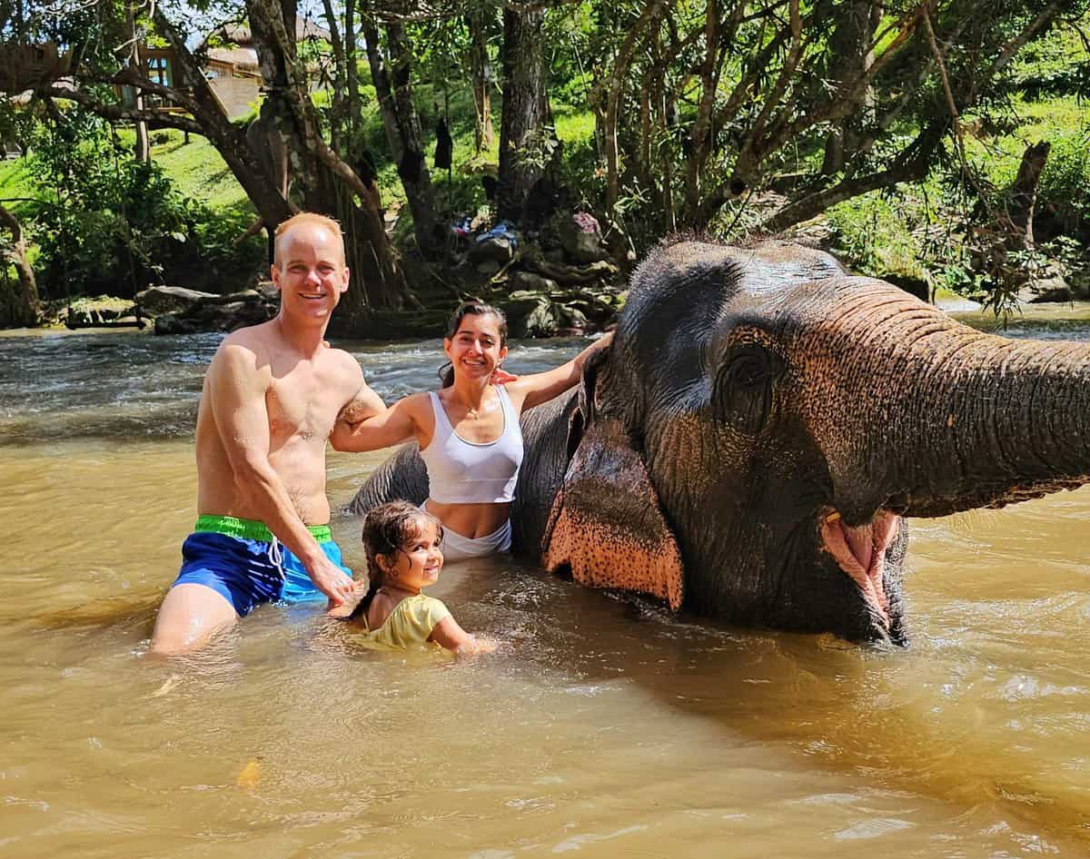 Chiang Mai Elephants - must do in