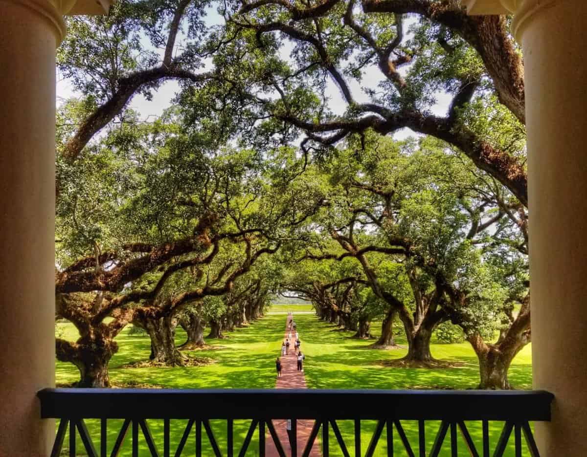 What to see in New Orleans in 3 days What to see in New Orleans in 3 days