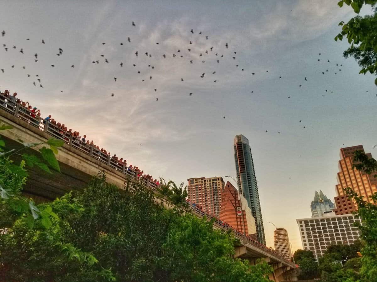 instagramable Austin instagramable Austin