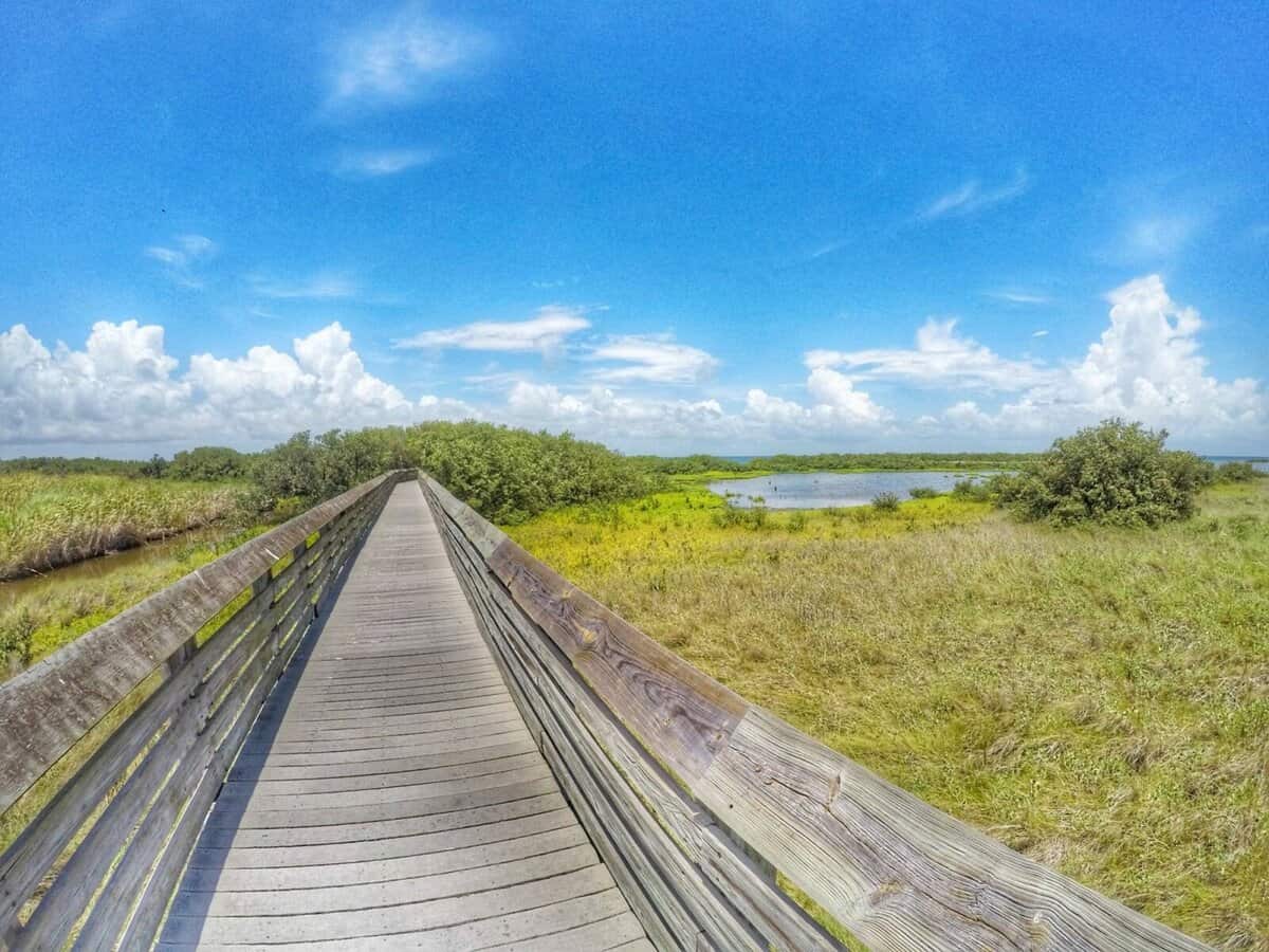 South Padre Island things to do - Laguna Madre Nature Trail Best Outdoor Activity in South Padre Island
