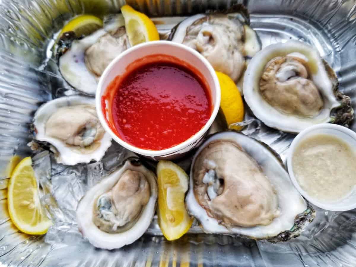 Things to do in South Padre Island Texas Things to do in South Padre Island Texas