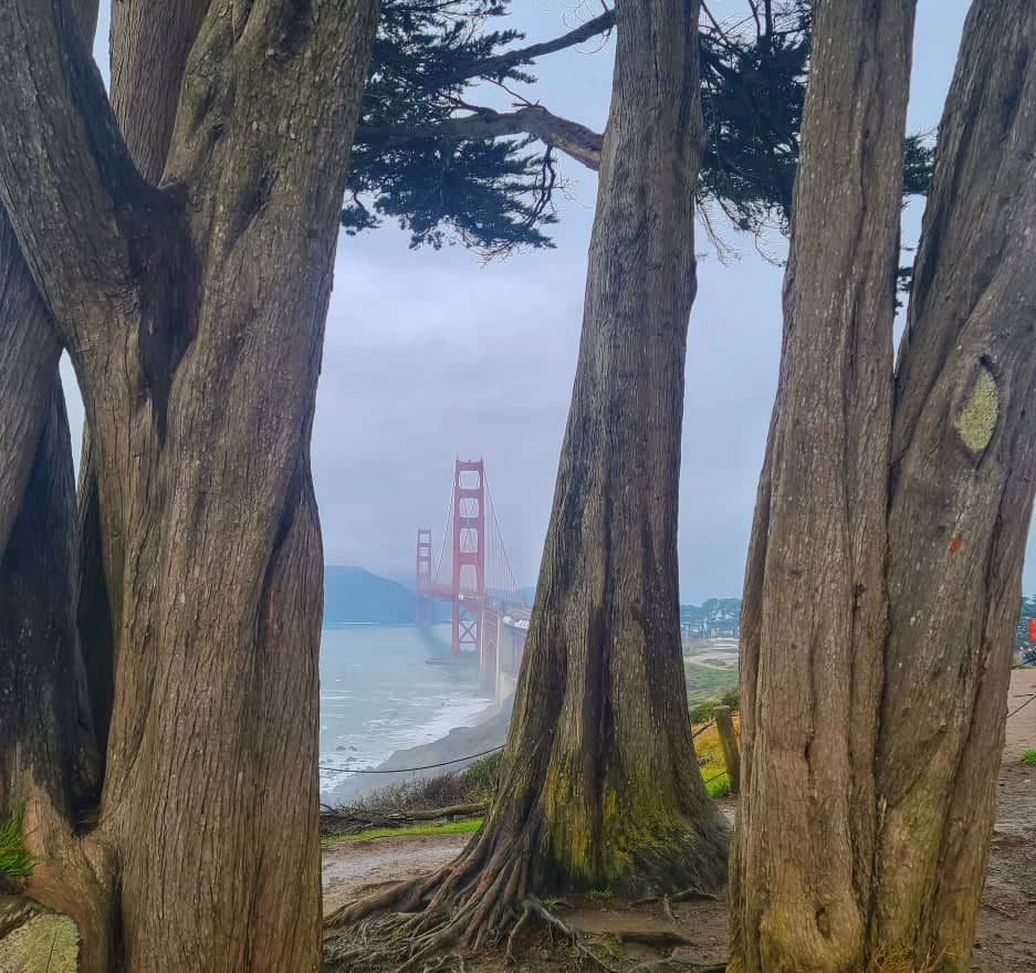 How to see Golden Gate Bridge on a day spent in San Francisco