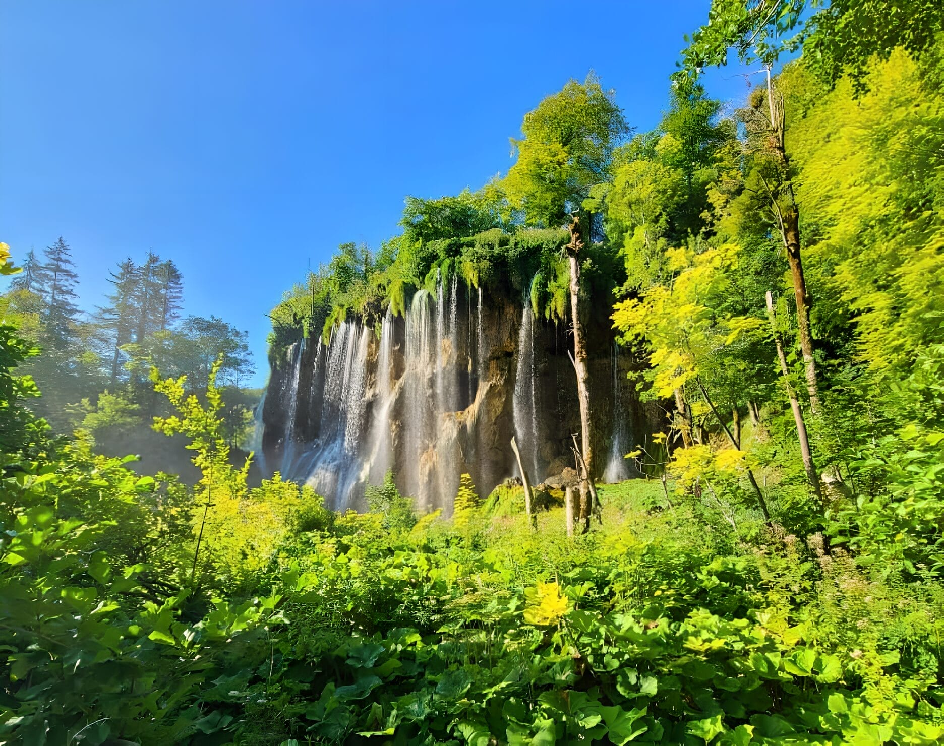 A beautiful waterfall cascading down a lush green cliff surrounded by dense foliage under a clear blue sky at Plitvice Lakes National Park in Croatia.
