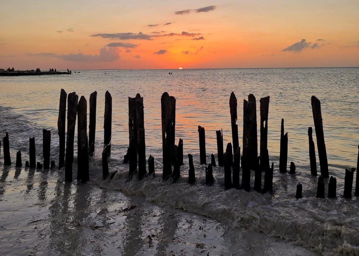 Sunset view from Isla Holbox, Mexico with wooden posts standing in the water.