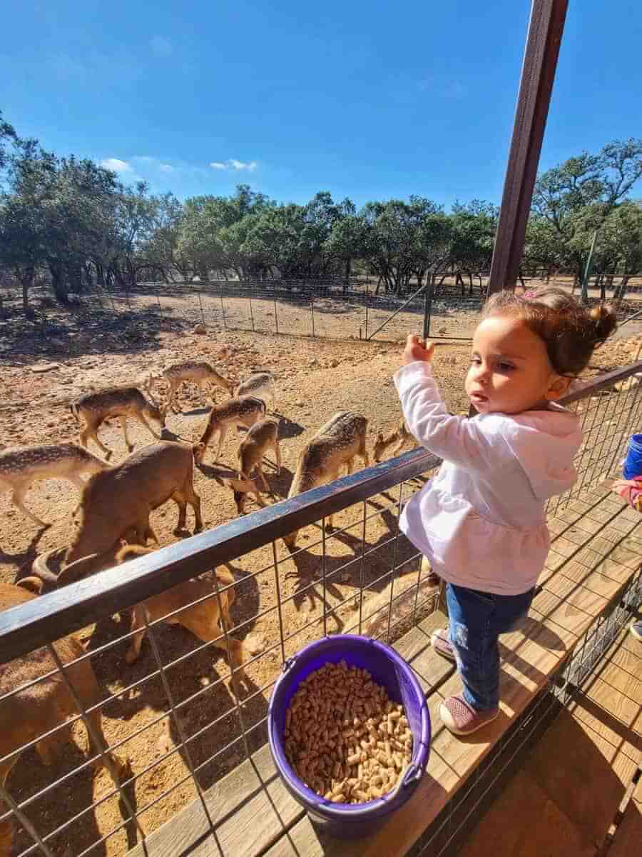 Exotic Zoo Resort near Austin - family things to do