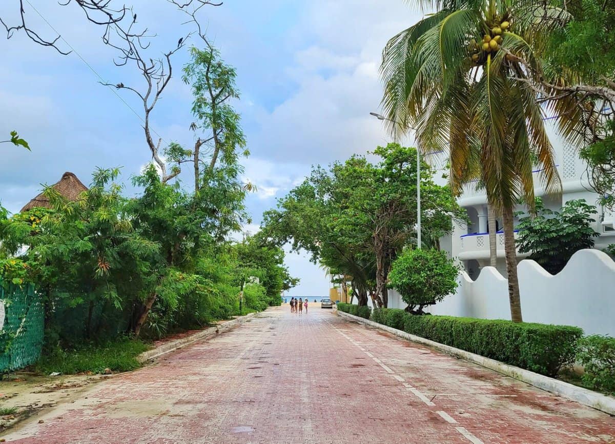 Tree-lined street leading to the beach in Playacar, Playa del Carmen, Quintana Roo, Mexico, with a few people walking in the distance under a tropical sky.