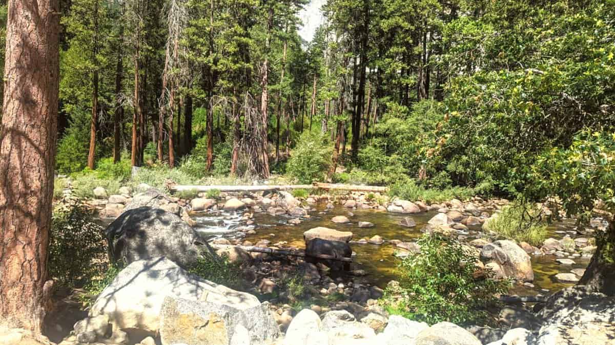 Top 19 Airbnbs In Yosemite National Park Together To Wherever