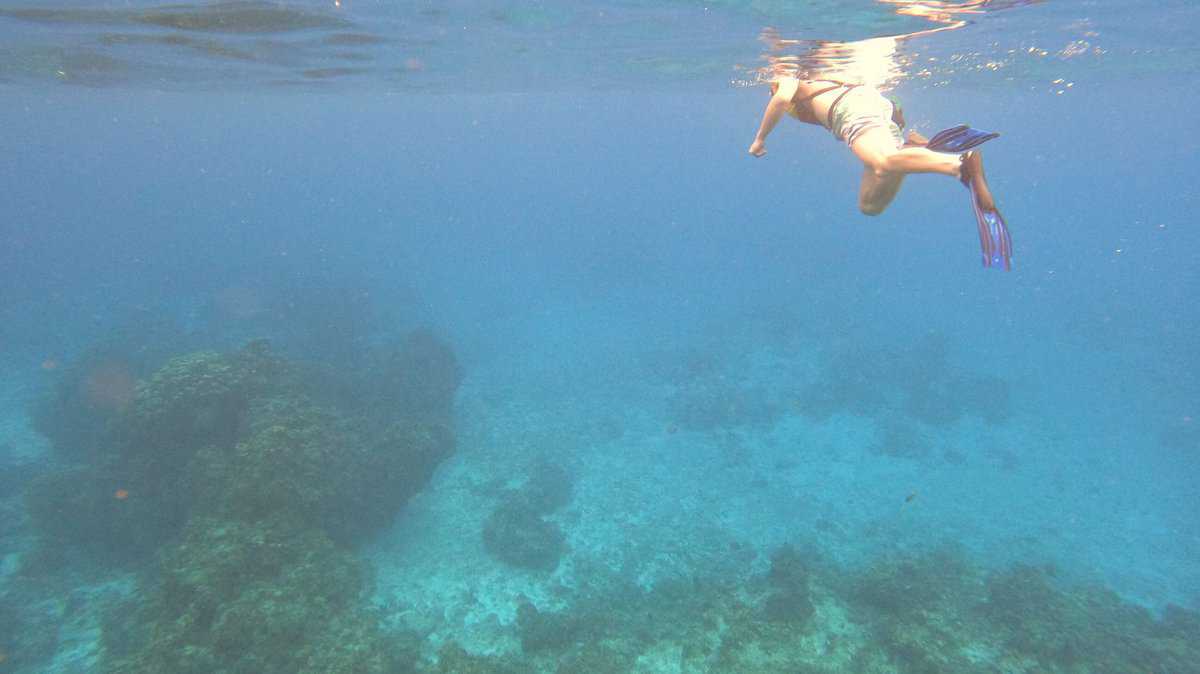 Cozumel Vs. Isla Mujeres: Things To Know Before Visiting