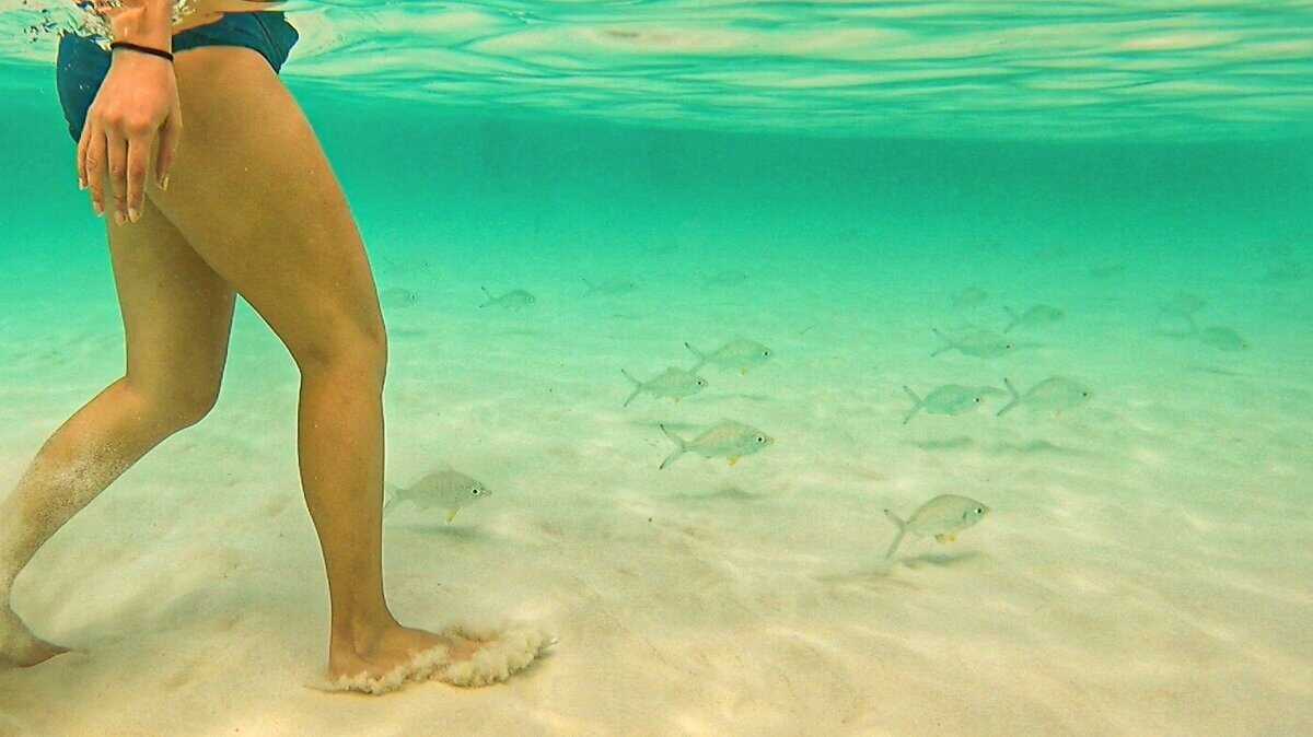 A person standing in clear shallow water with small fish swimming around in Playa del Carmen, Riviera Maya, Quintana Roo, Mexico.