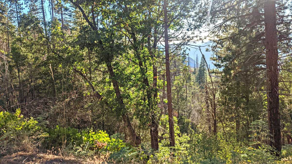 Airbnb in Yosemite National Park