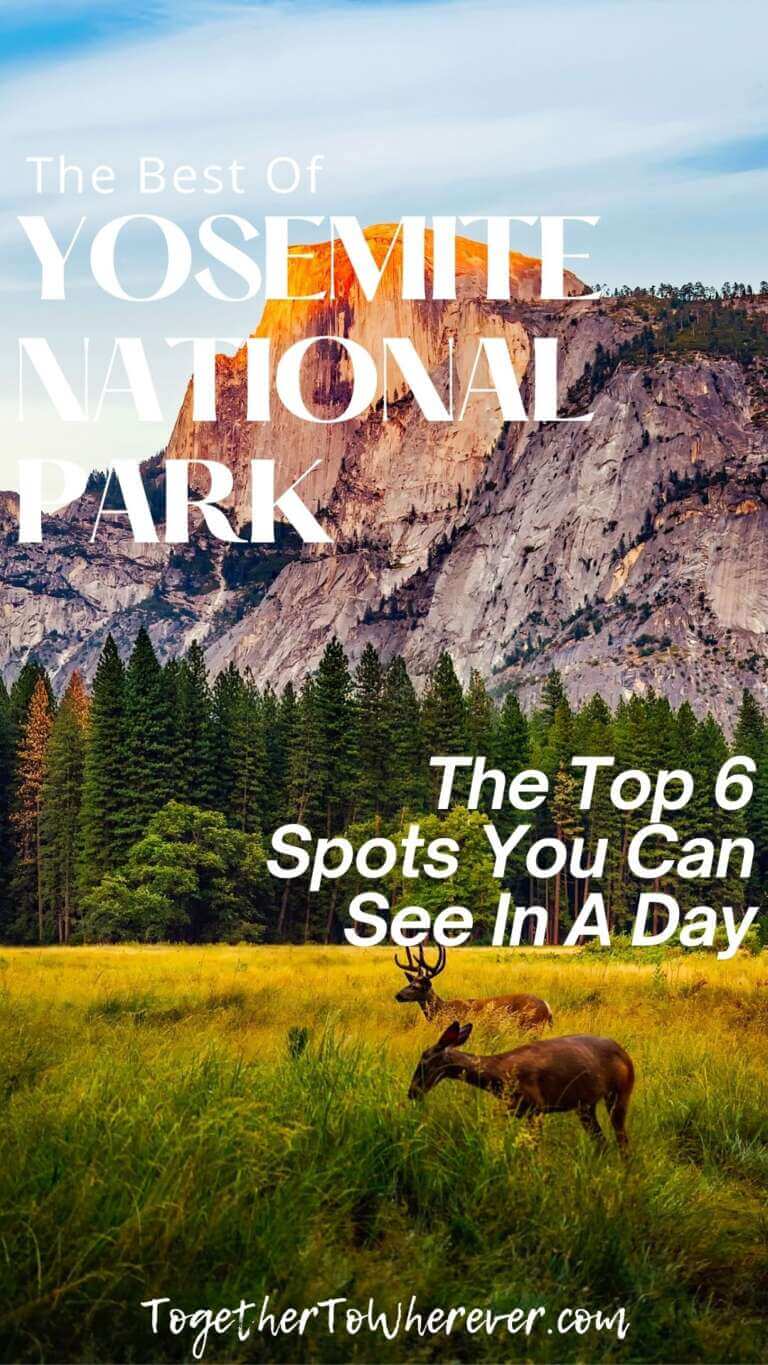 Yosemite National Park One Day Guide