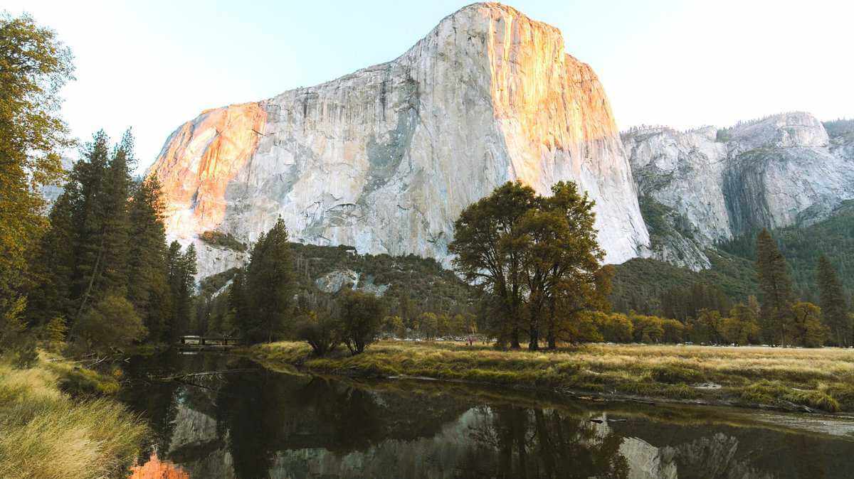 cats and dogs in Yosemite NP