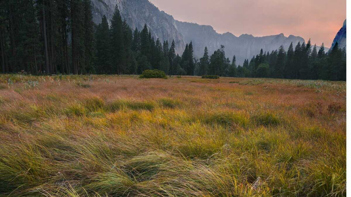 Yosemite photo spot Cooks Meadow