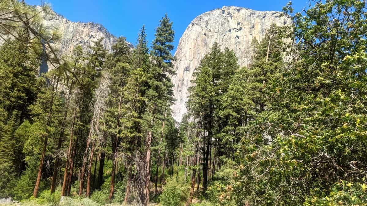 Yosemite NP visit with children