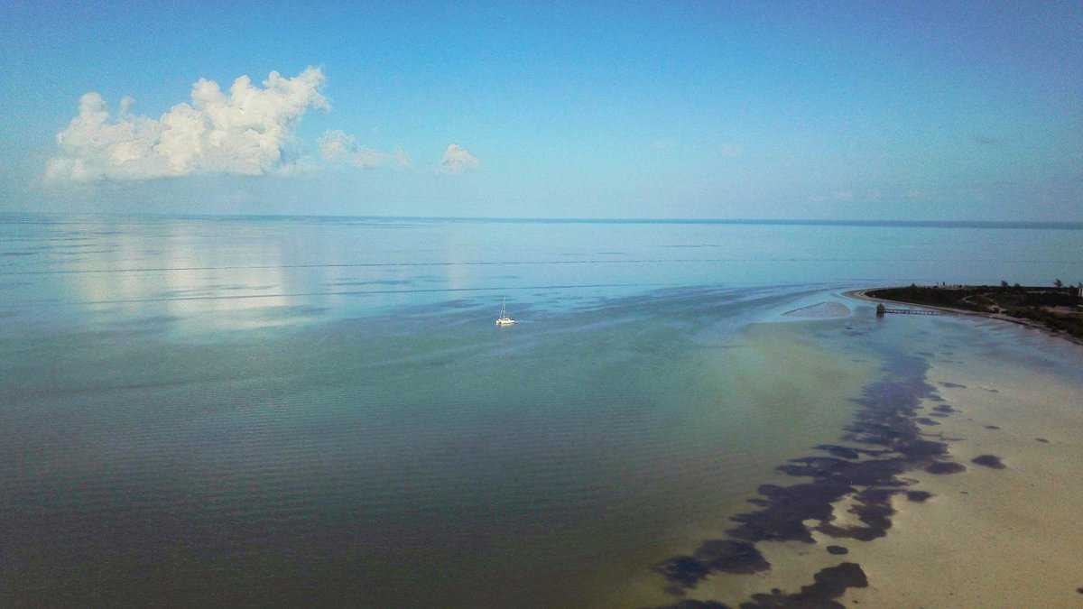 Isla Mujeres Vs. Holbox: Best Beaches, Snorkeling, Safety