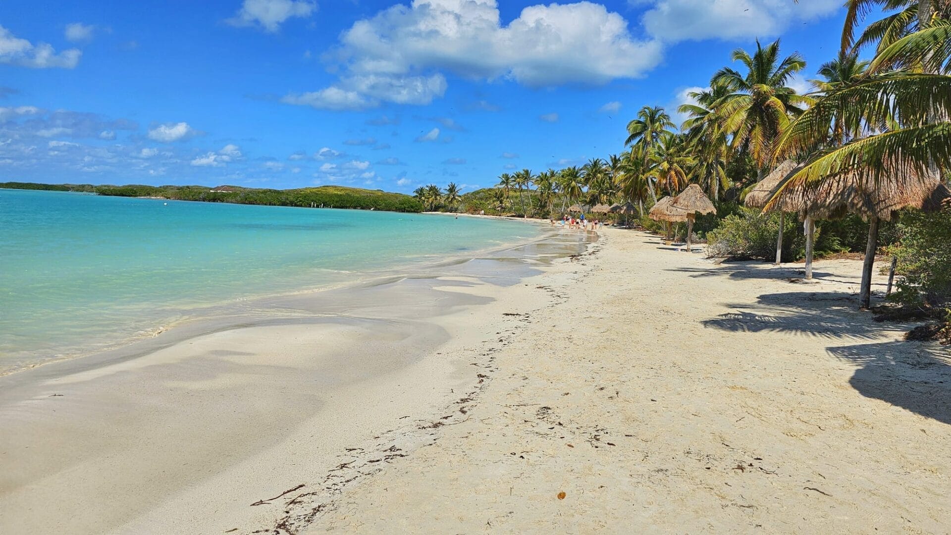 Isla Contoy, Riviera Maya - beach