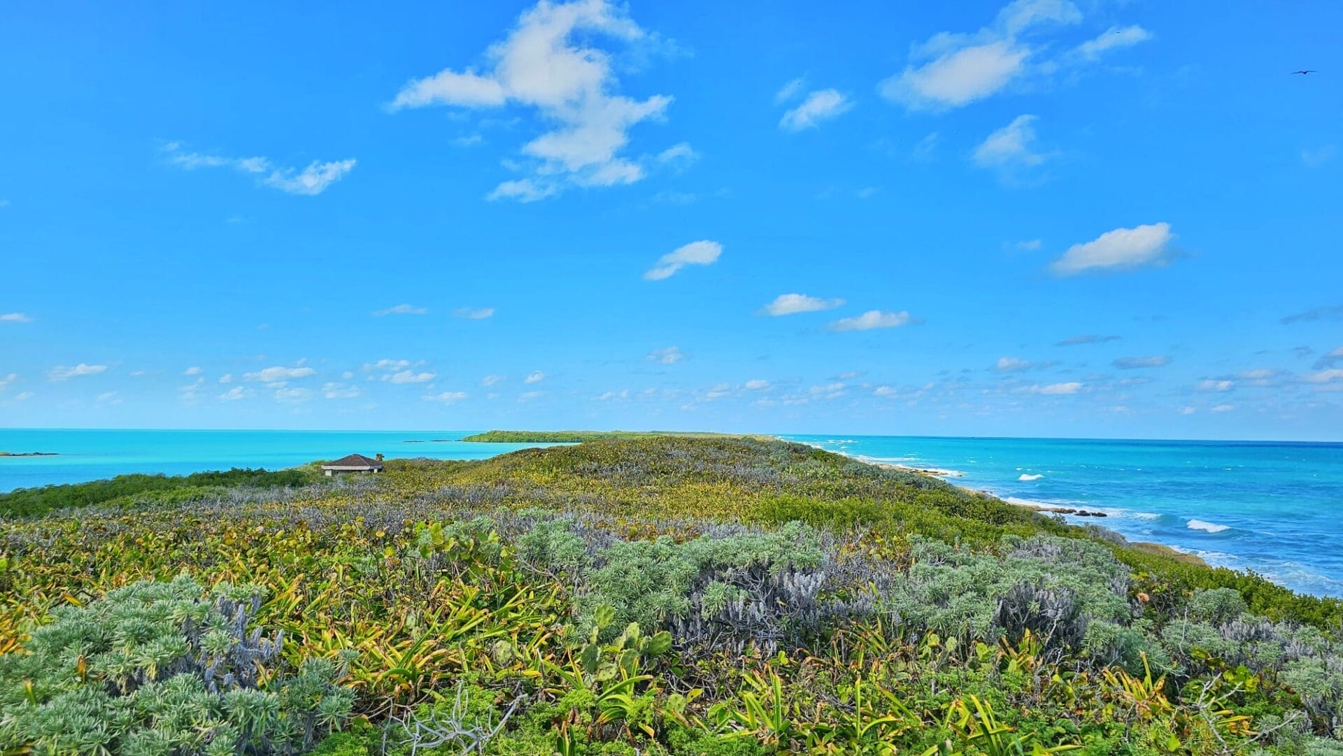 Isla Contoy coasts view