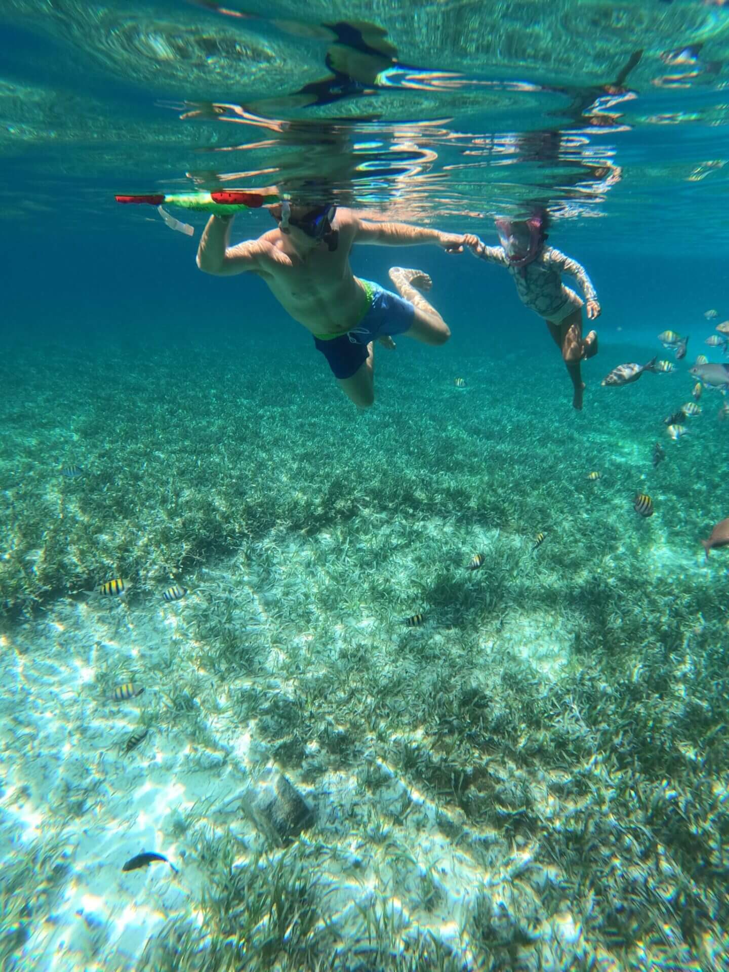 snorkeling Isla Mujeres is better