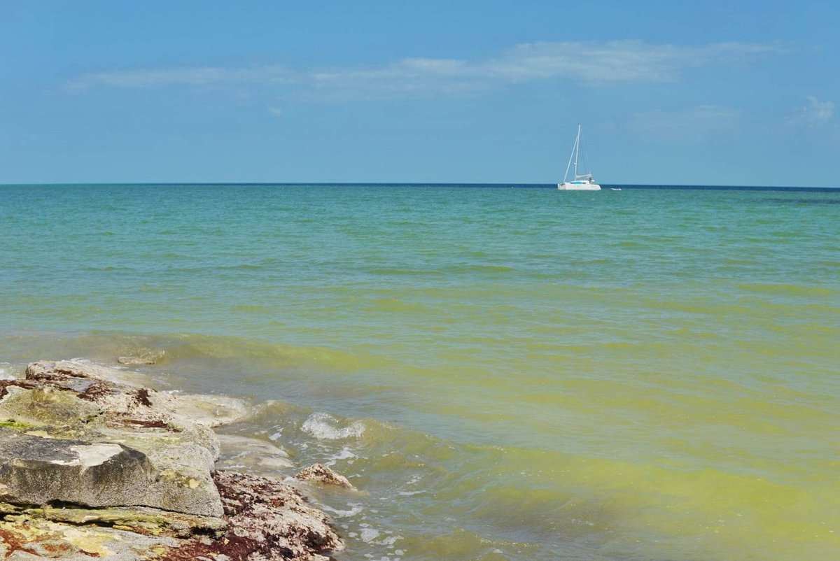 Holbox Island water view