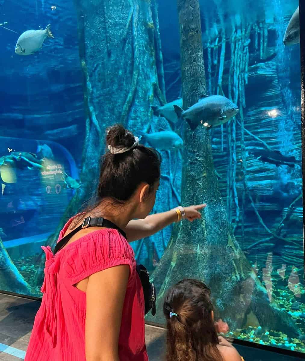 Parque Explora aquarium in MEdellin