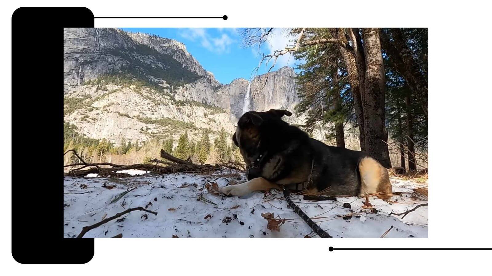 Dog Friendly Yosemite Information