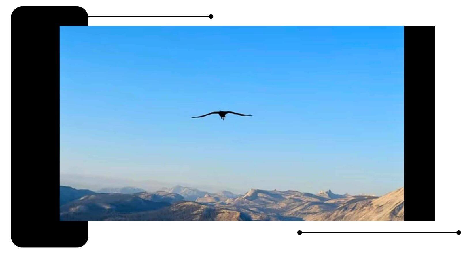 Yosemite airport choices