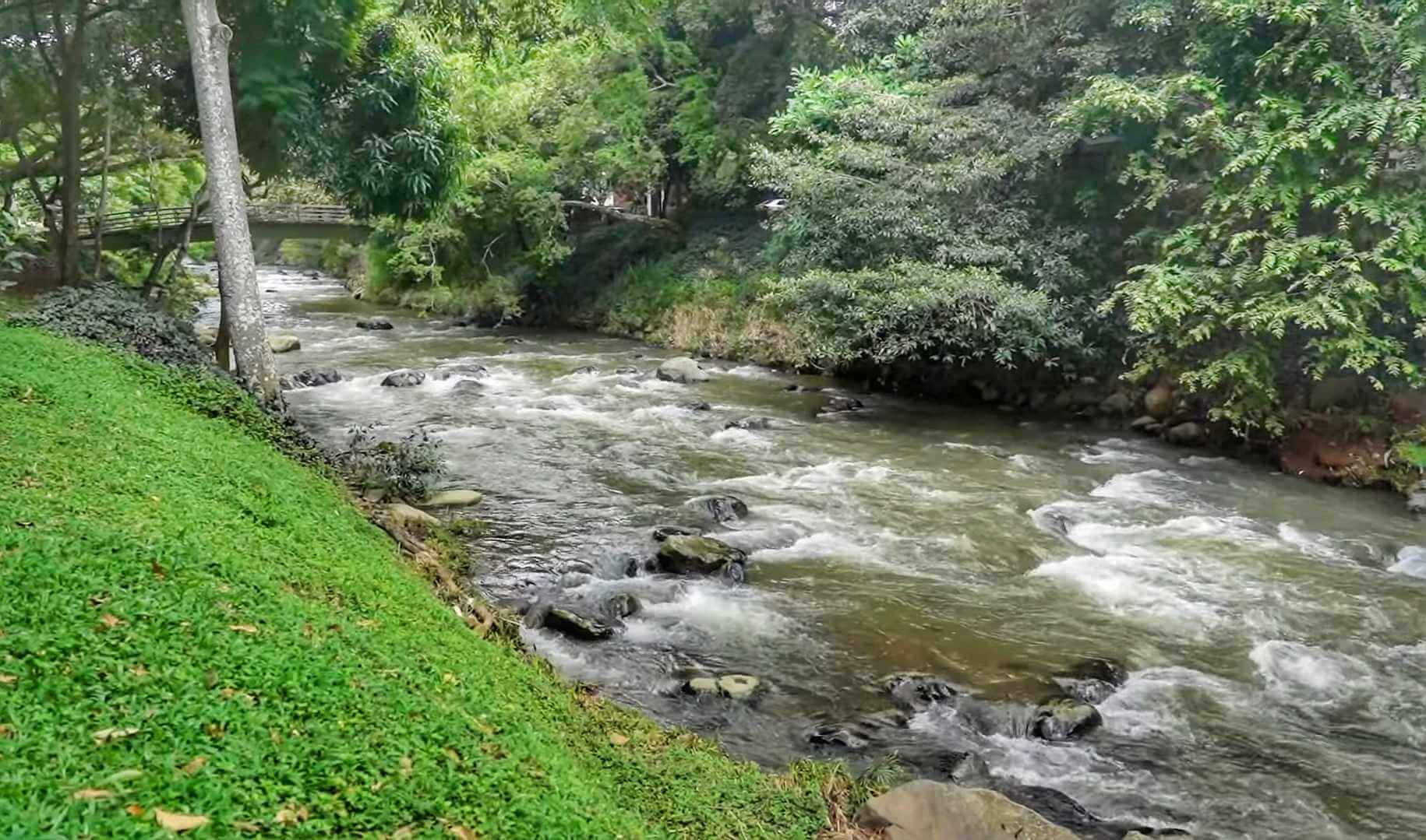 river in Cali Colombia