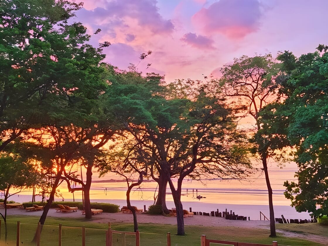 14 day itinerary Costa Rica Vacation Serene sunset view over Tamarindo beach in Costa Rica, framed by lush green trees and vibrant, colorful sky.