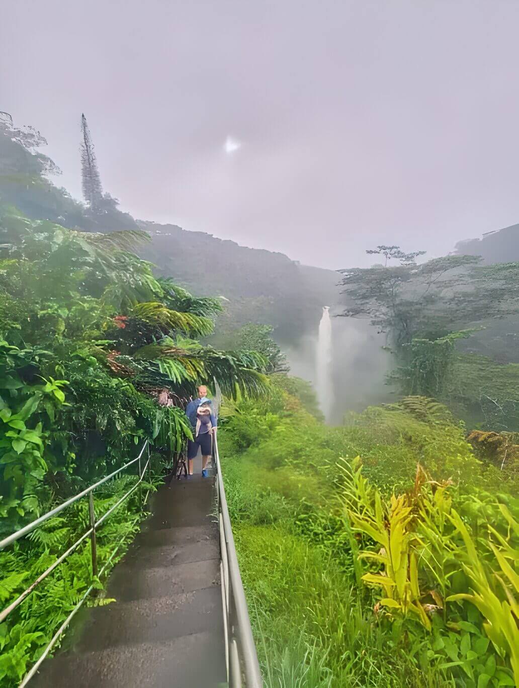 Akaka Falls State Park - Big Island Hawaii Akaka Falls State Park - Big Island