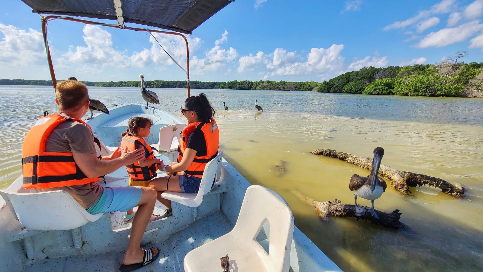 Boat tour Rio Lagartos Bioreserve - Cancun Wildlife